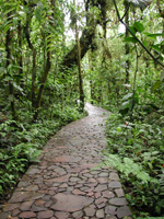image of stone gardern path
